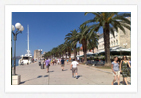 Riva in Trogir